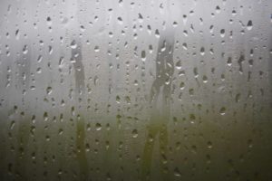 Steamy Window Humidity Resizedblog 2