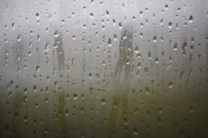 Steamy Window Humidity Resizedblog 2