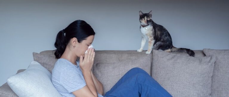 Young woman sitting on sofa sneezing with a cat nearby